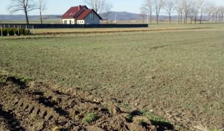 Działka budowlana Piotrowice