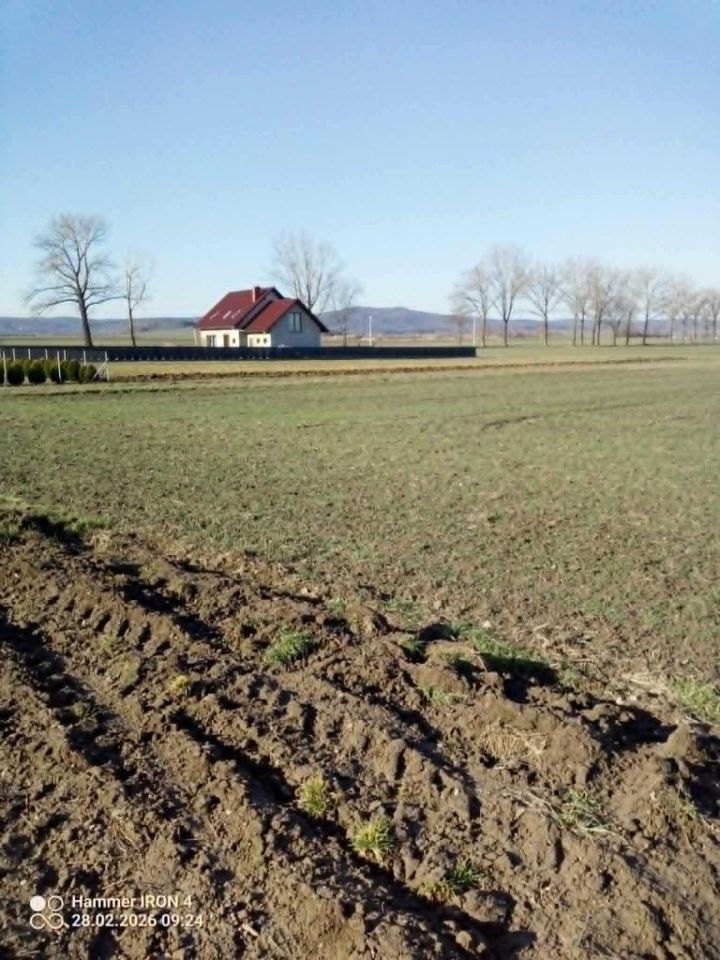 Działka budowlana Piotrowice. Zdjęcie 1