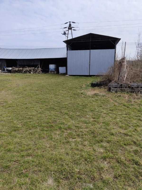 Działka rolno-budowlana Lgiń. Zdjęcie 4