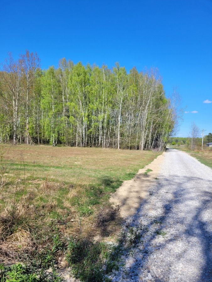 siedlisko Zaręby, ul. Kuropatwy. Zdjęcie 5