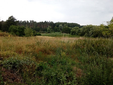 Działka siedliskowa Redczyce, Redczyce 6