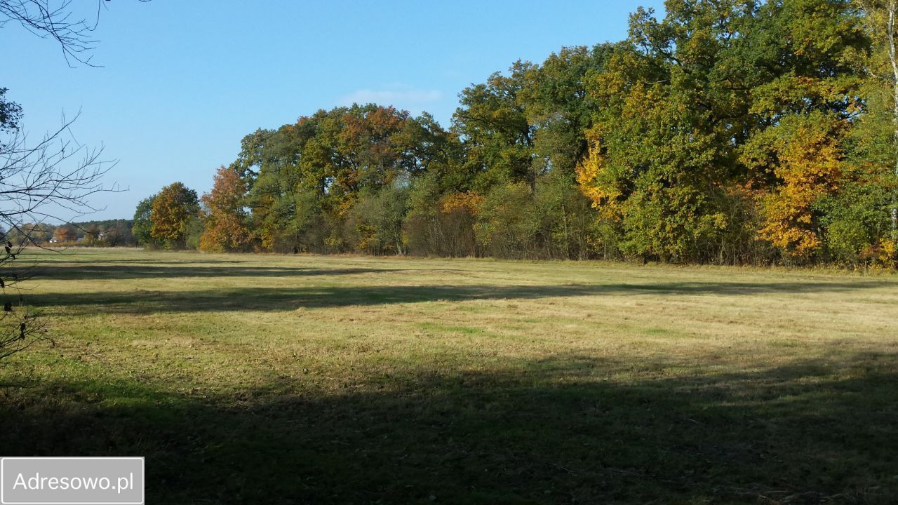 Działka siedliskowa Jarantów-Kolonia