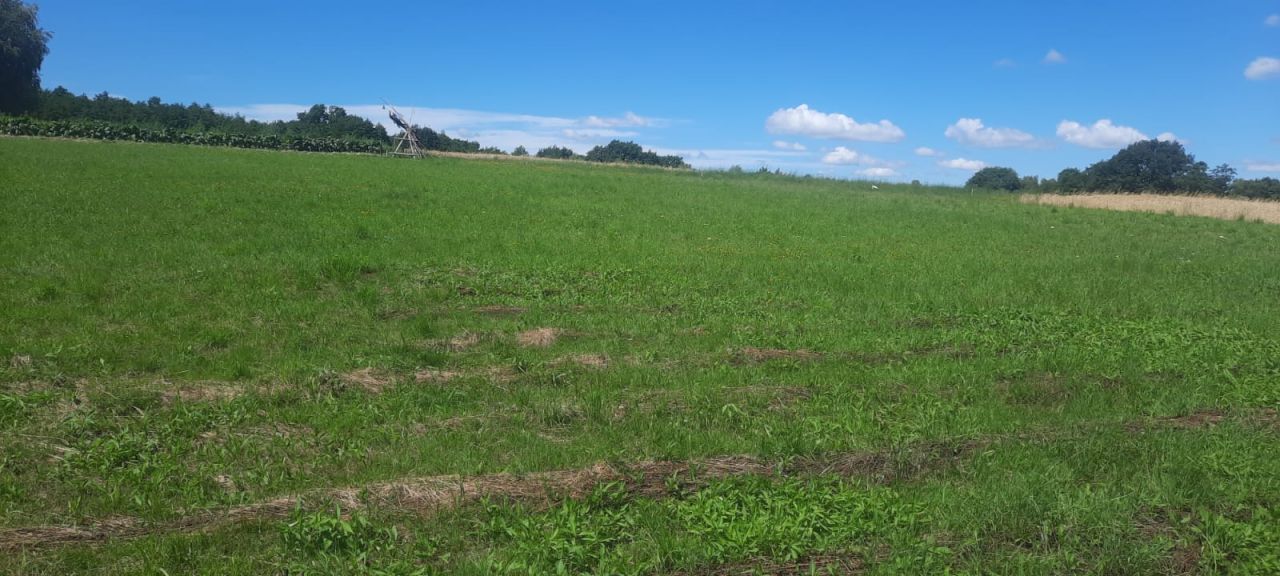 Działka budowlana Grabno Góra. Zdjęcie 5