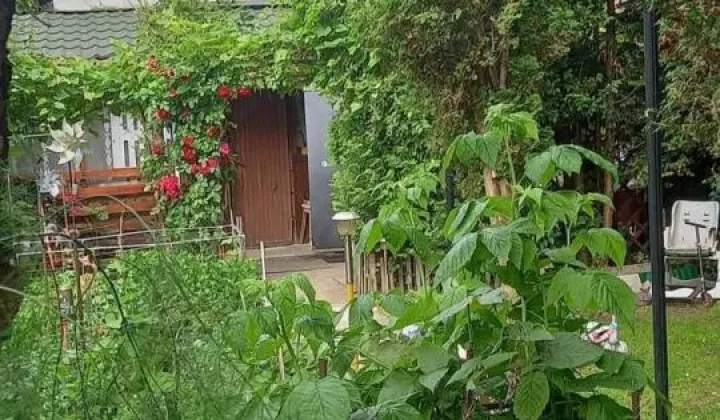 Działka rod Garwolin