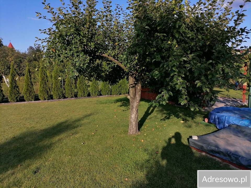 Działka rod Wrocław Księże Małe, ul. Świątnicka. Zdjęcie 10