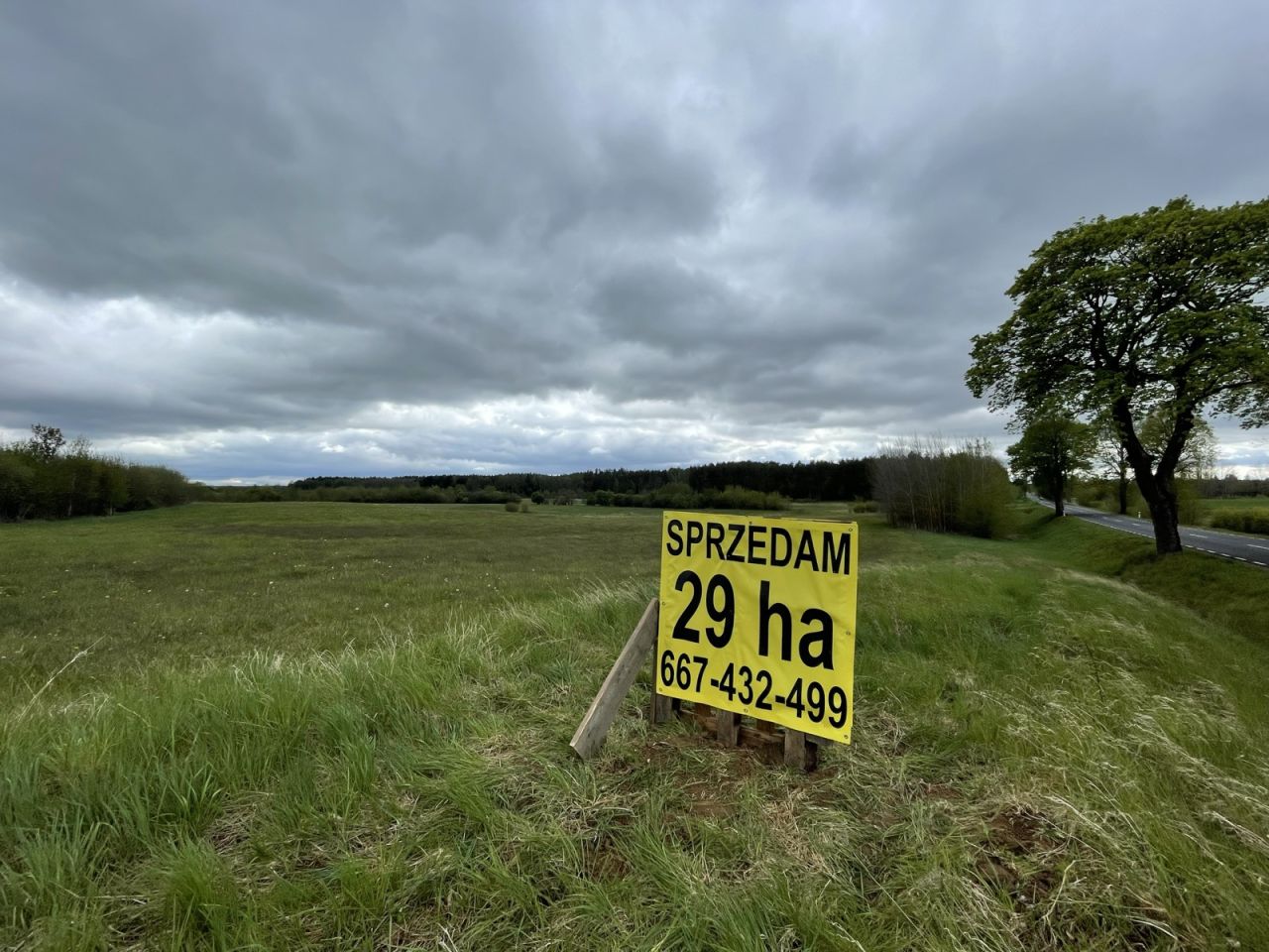 Działka rolna Pogorzel Wielka. Zdjęcie 4