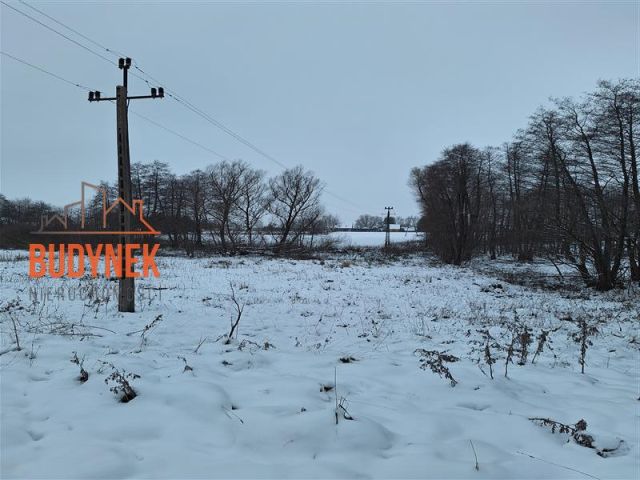 Działka rolna Przystawy. Zdjęcie 12