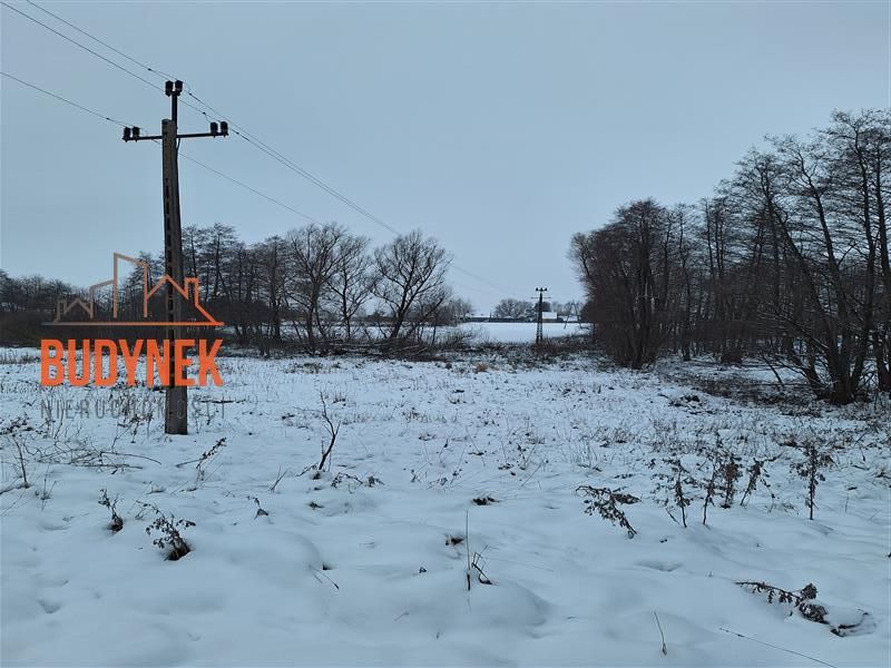 Działka rolna Przystawy. Zdjęcie 12