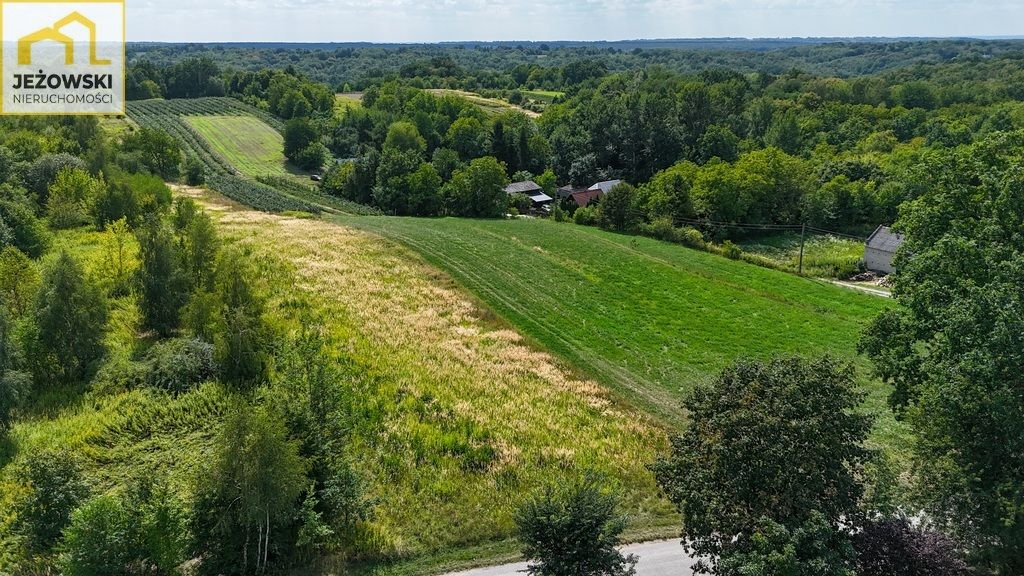 Działka rolno-budowlana Kazimierz Dolny, ul. Góry. Zdjęcie 7