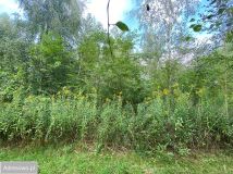 Działka budowlana Lipków, ul. Ignacego Mościckiego. Zdjęcie 2