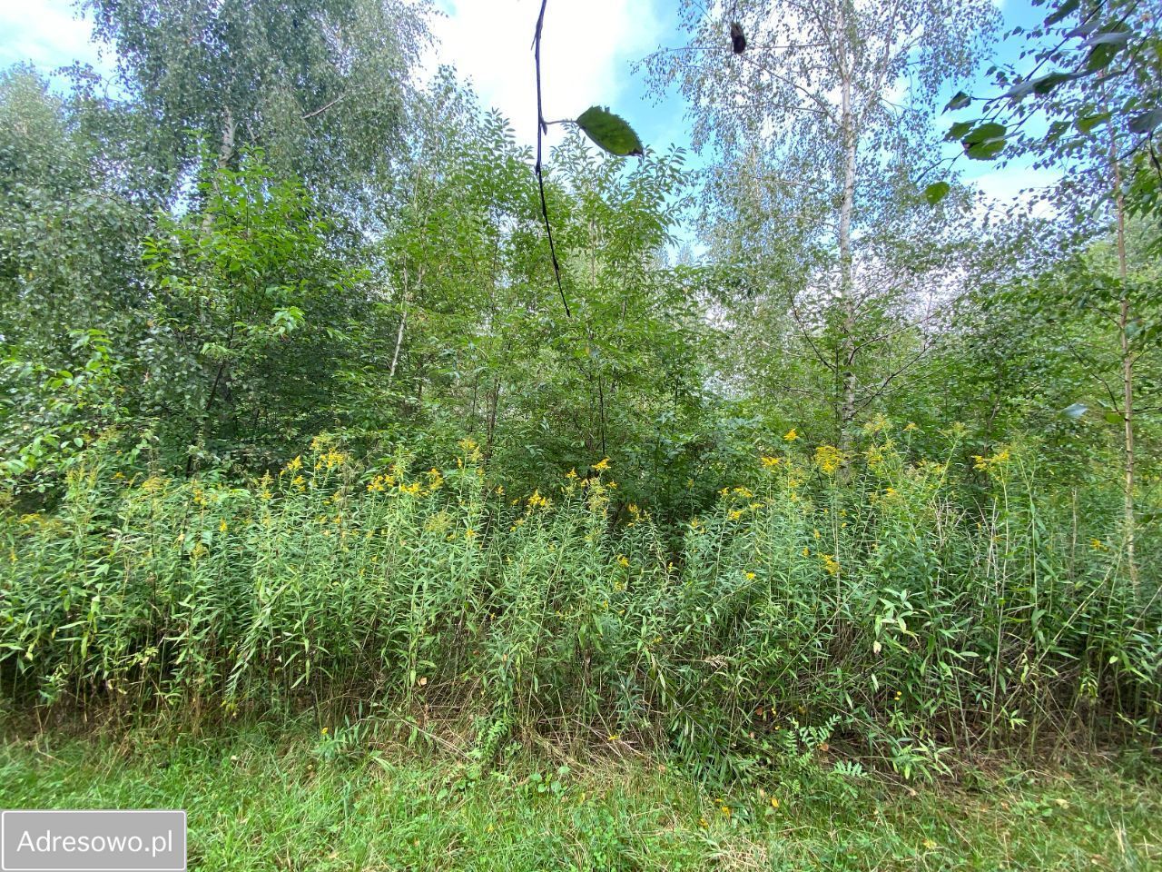 Działka budowlana Lipków, ul. Ignacego Mościckiego. Zdjęcie 3