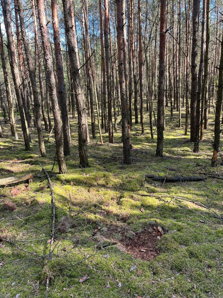 Działka rolna Franki Broniki. Zdjęcie 9