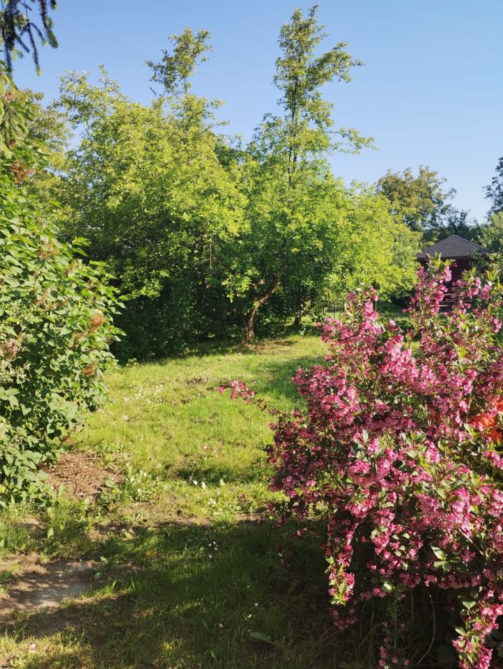 Działka rod Kraków Przegorzały, ul. Rybna. Zdjęcie 5