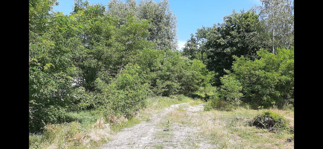 Działka budowlana Dąbrowica