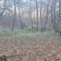 Działka leśna Zawady. Zdjęcie 4