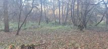 Działka leśna Zawady. Zdjęcie 3