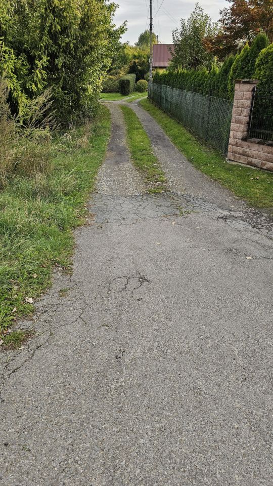 Działka inwestycyjna Palikówka. Zdjęcie 2