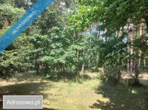 dom wolnostojący, 4 pokoje Tomaszów Mazowiecki. Zdjęcie 4