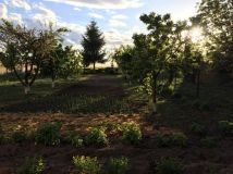 gospodarstwo Wiązów. Zdjęcie 4