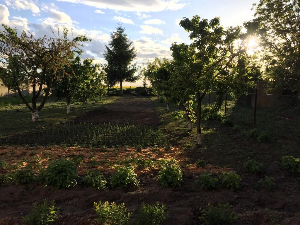 gospodarstwo Wiązów. Zdjęcie 5