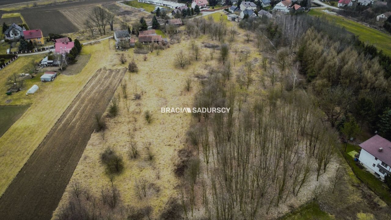 Działka rolna Wołowice. Zdjęcie 4