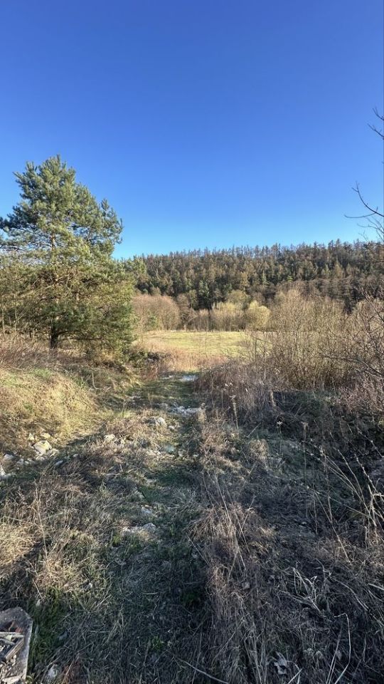 Działka inwestycyjna Bałtów. Zdjęcie 2