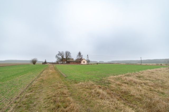 Działka siedliskowa Agnopol. Zdjęcie 1