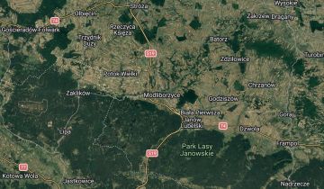 bliźniak Modliborzyce