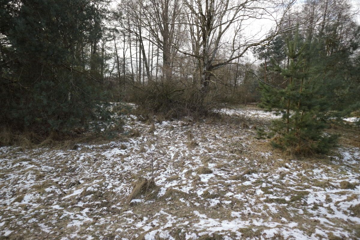 Działka budowlana Nekielka, ul. Kwiatowa. Zdjęcie 8