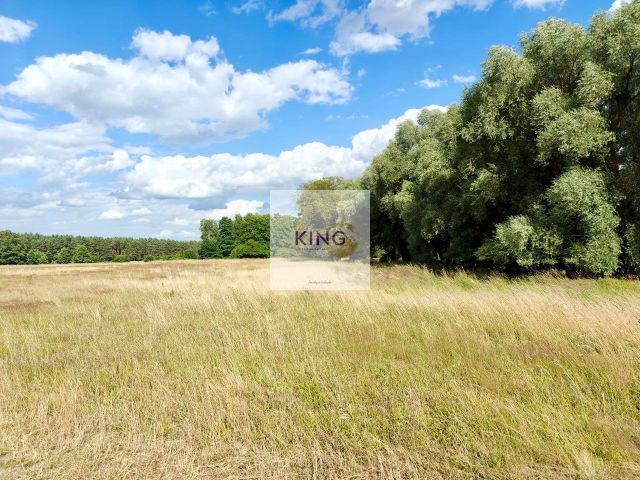 Działka rolna Stolec. Zdjęcie 4