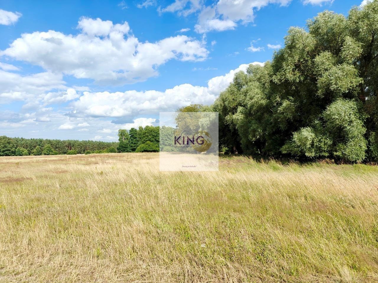 Działka rolna Stolec. Zdjęcie 4