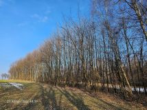 Działka siedliskowa Góry. Zdjęcie 1