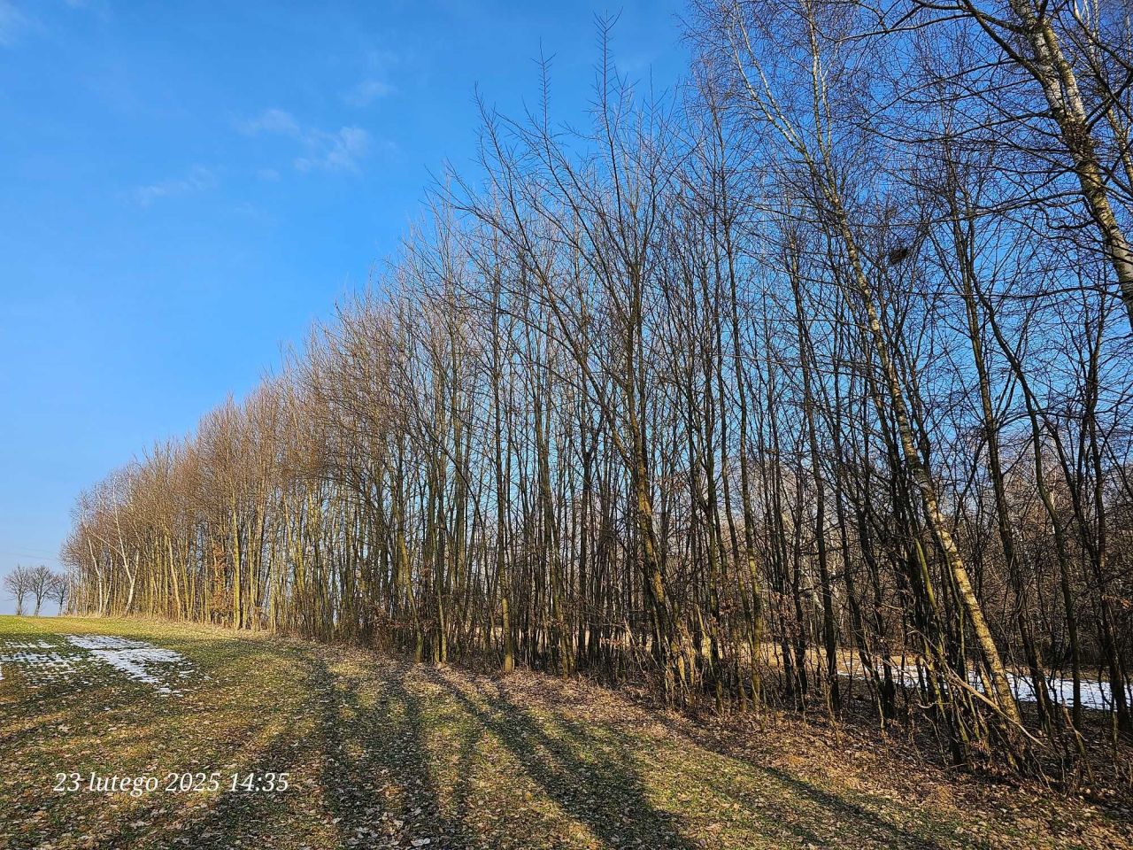 Działka siedliskowa Góry. Zdjęcie 2
