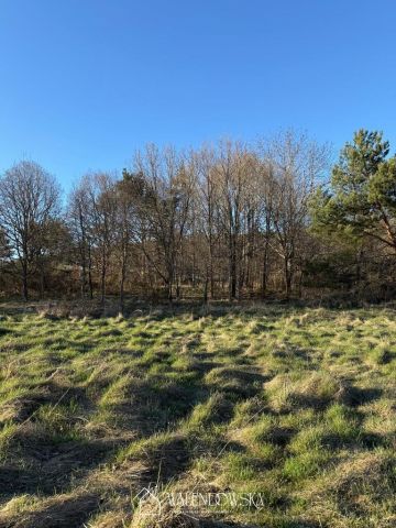 Działka rolna Gardna Wielka. Zdjęcie 7