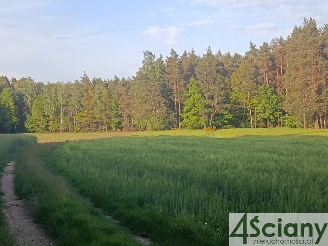 dom wolnostojący, 3 pokoje Wyszonki-Klukówek. Zdjęcie 49