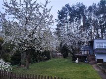 Działka rod Złotów. Zdjęcie 3