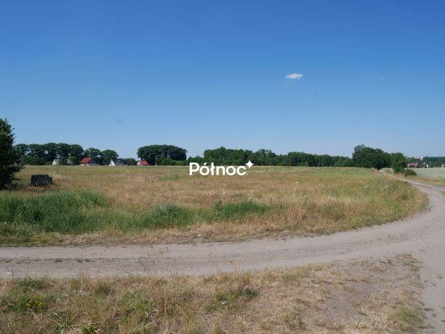 Działka inwestycyjna Wykroty. Zdjęcie 7