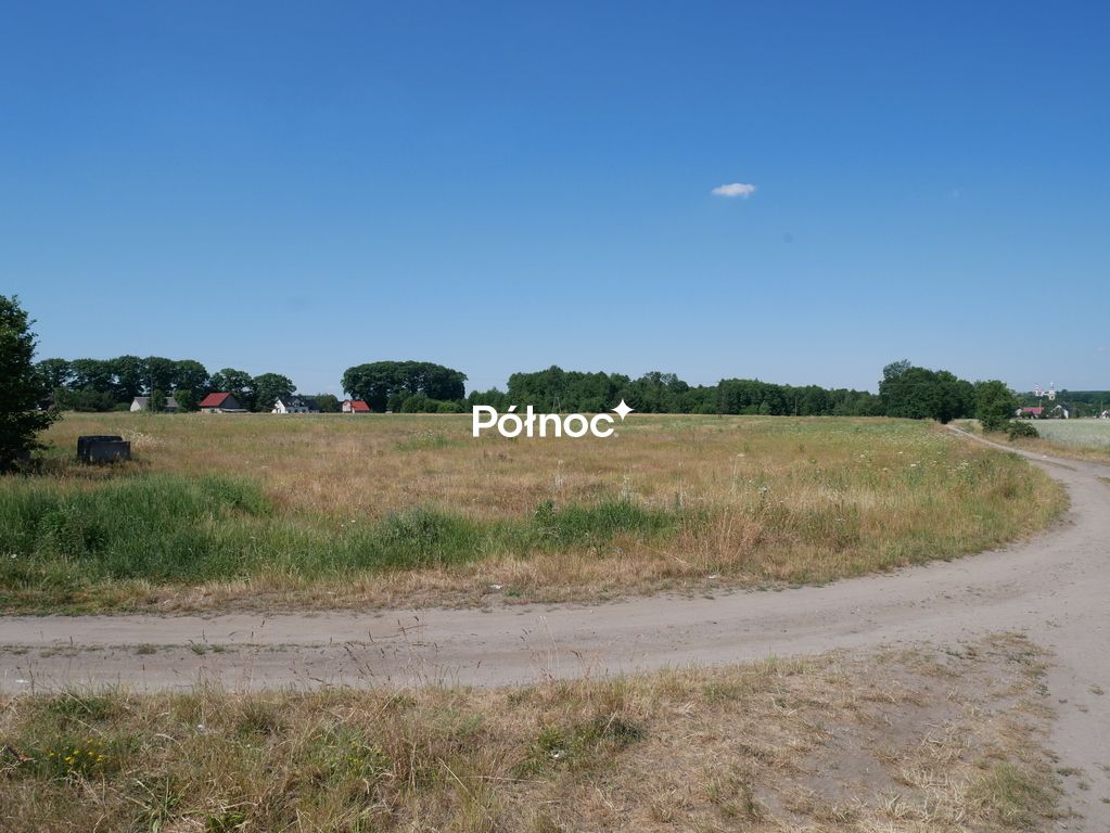 Działka inwestycyjna Wykroty. Zdjęcie 7