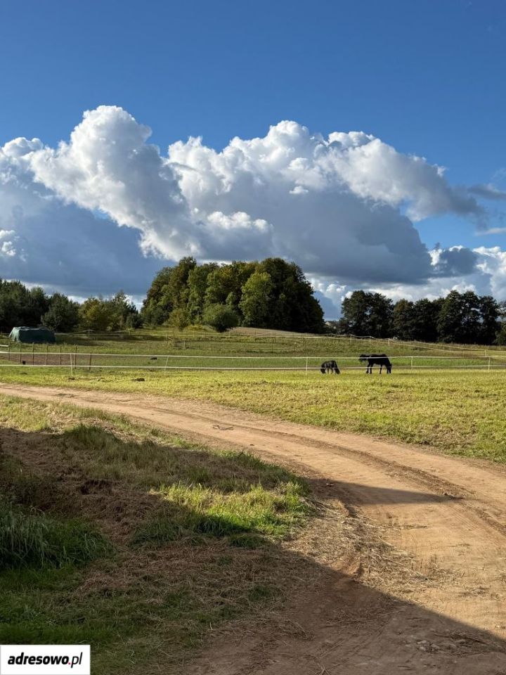 Działka siedliskowa Trąbki Małe. Zdjęcie 3