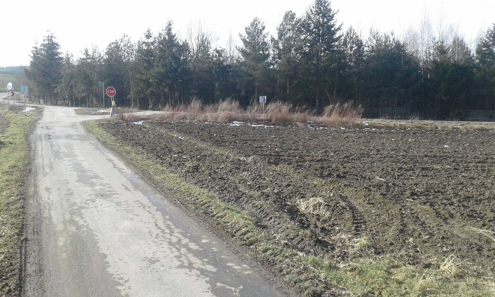 Działka rolno-budowlana Sieniawka. Zdjęcie 5