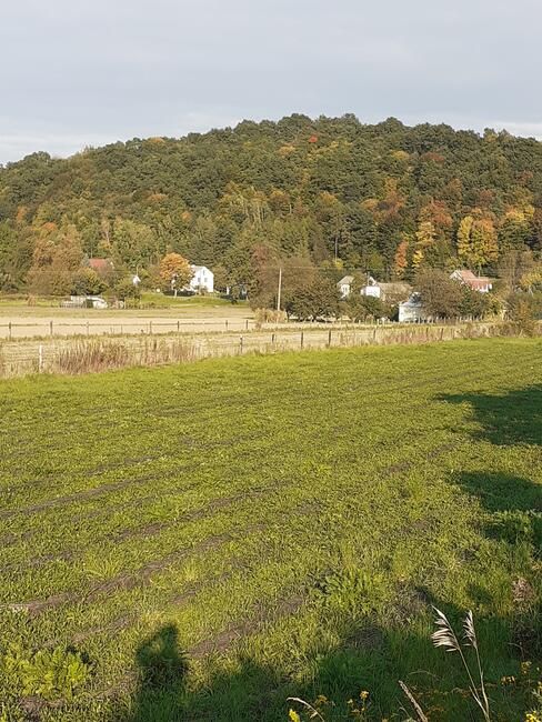 Działka rolno-budowlana Parchatka. Zdjęcie 12