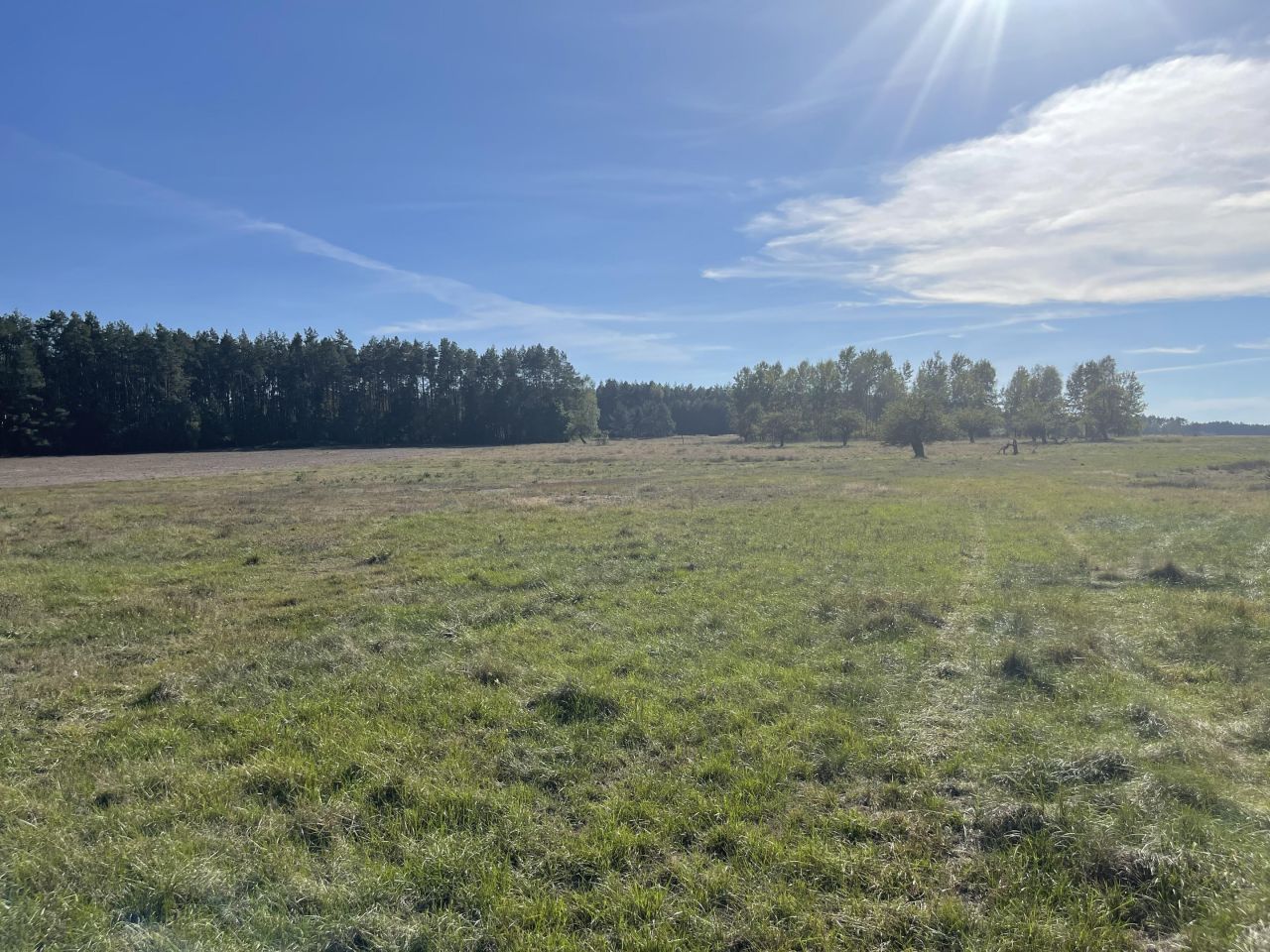 Działka rolna Jedlina. Zdjęcie 12