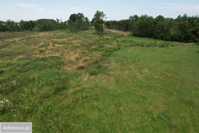 Działka budowlana Darzlubie, ul. Piękna. Zdjęcie 1