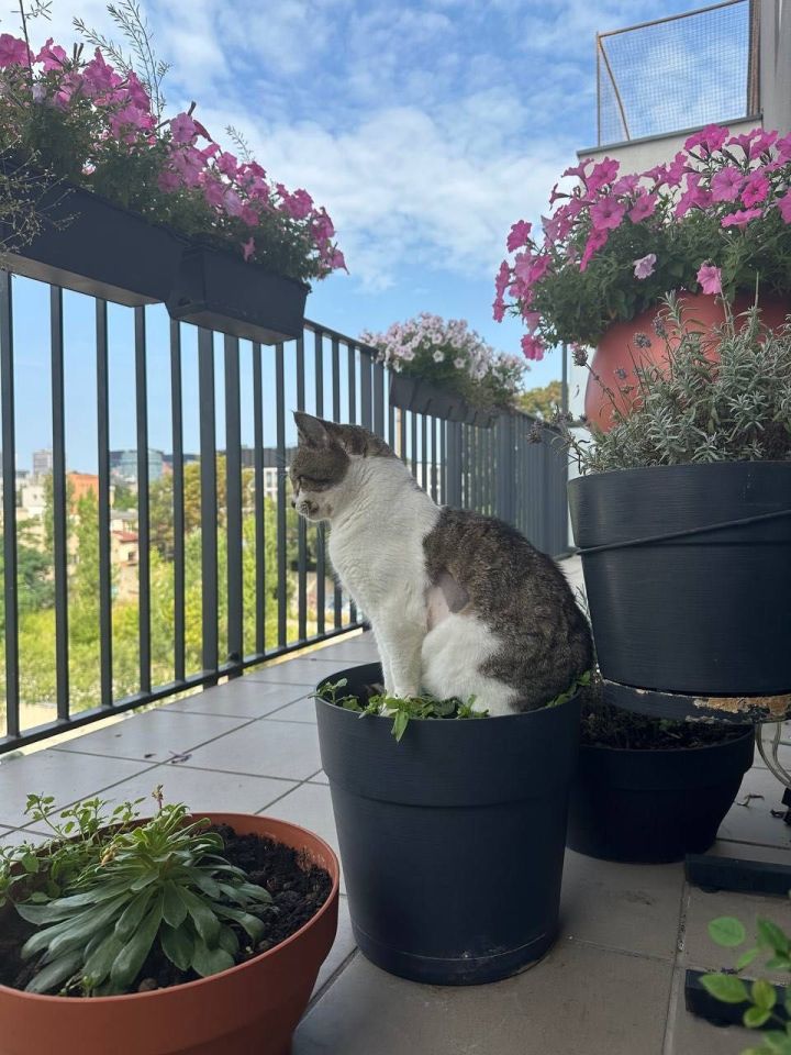 Mieszkanie 2-pokojowe Łódź Śródmieście. Zdjęcie 6