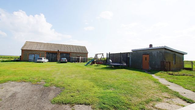 gospodarstwo Zbójno. Zdjęcie 18