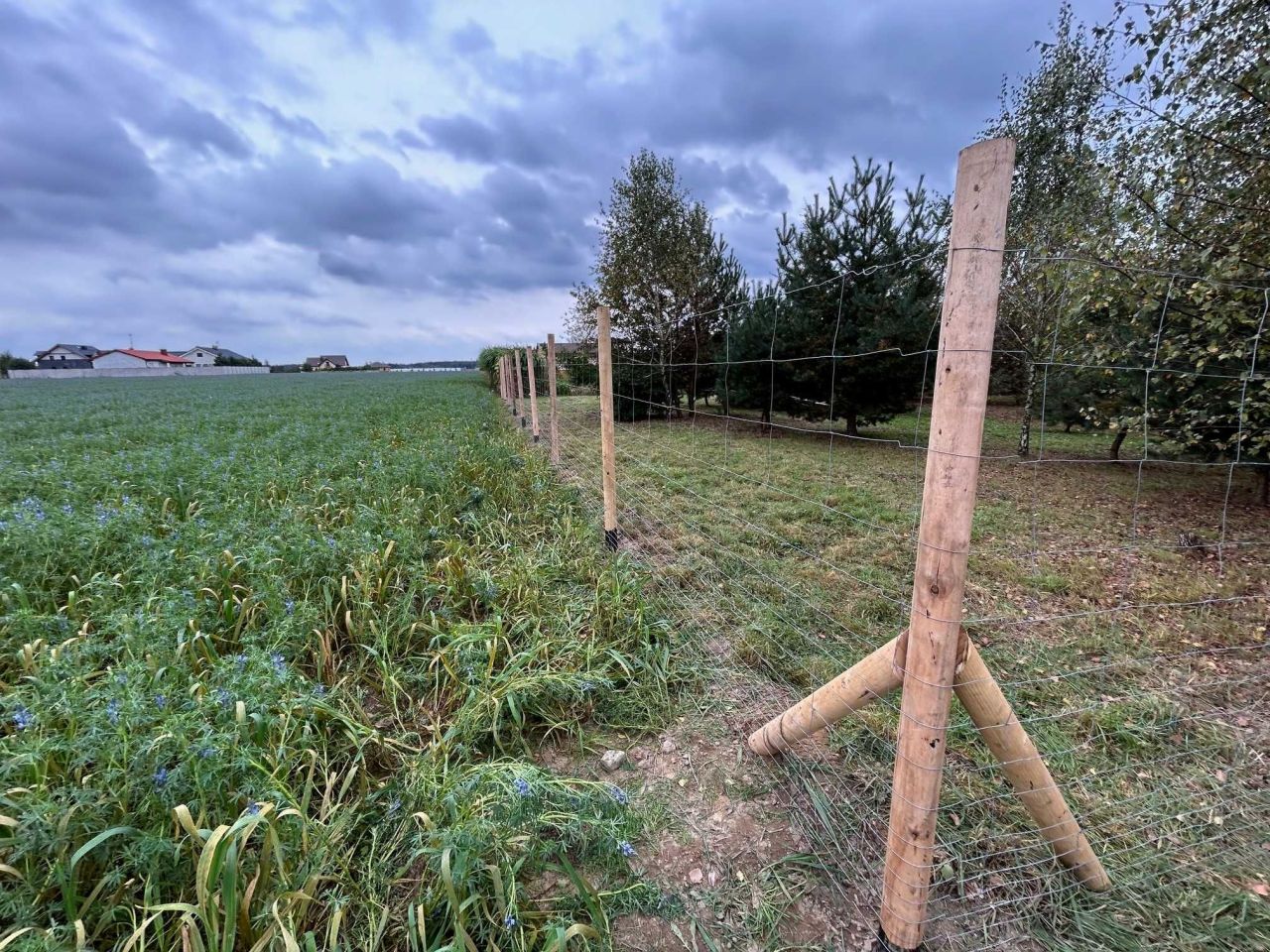 Działka budowlana Konarskie, ul. Osiedle Piaskowe. Zdjęcie 5