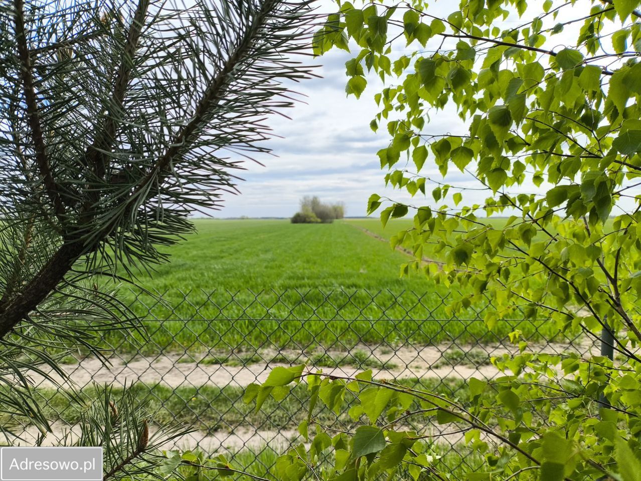 dom wolnostojący, 3 pokoje Czepielin-Kolonia. Zdjęcie 3