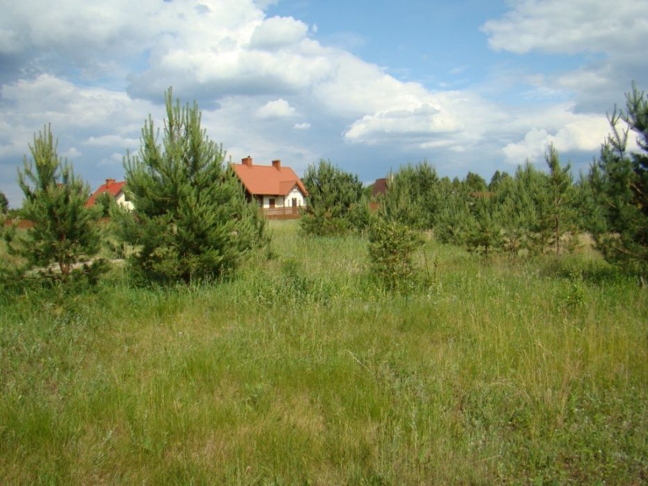 Działka rolno-budowlana Maróz