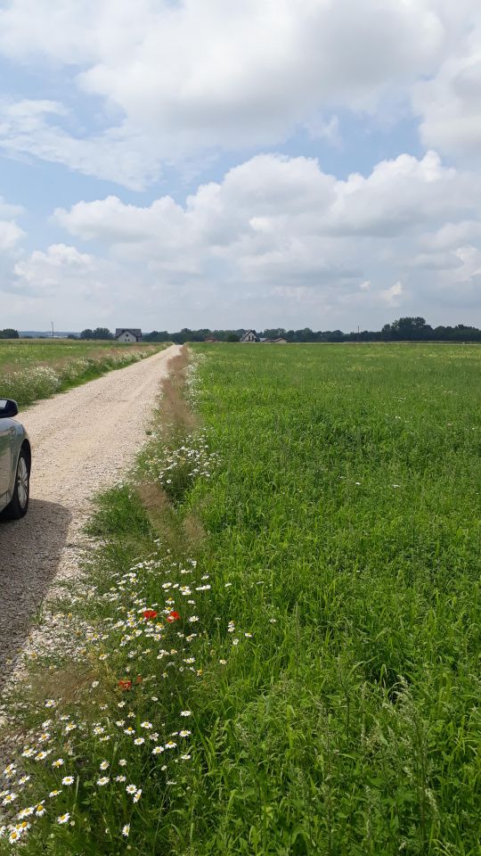 Działka rolno-budowlana Łagiewniki. Zdjęcie 3