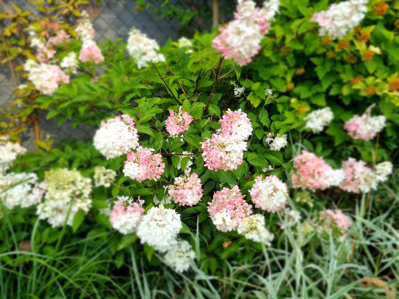 dom wolnostojący, 5 pokoi Bobrowiec, ul. Sójki. Zdjęcie 33